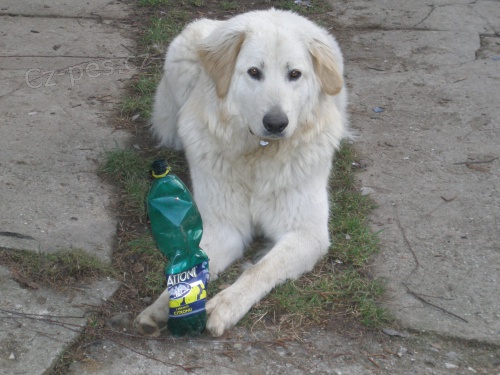 hled� se fena ODM�NA!!