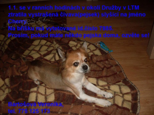 Zab�hla se �ivava - Litom��ice