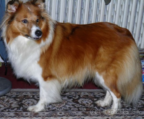 H�ad� sa fenka!!!