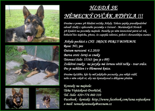 Pomozte p�i hled�n� NO Athyly