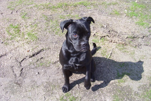 HLED�ME FENKU K�͎ENCE FR.BULDO�KA