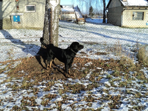 Hled� se JIMI-Pomozte n�m