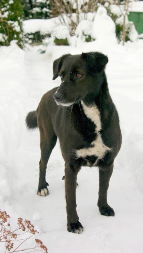 St�le hled�me ztracenou fenku