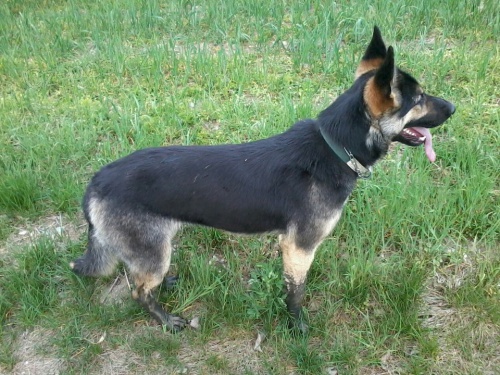 Ztratila se - Libereck� kraj