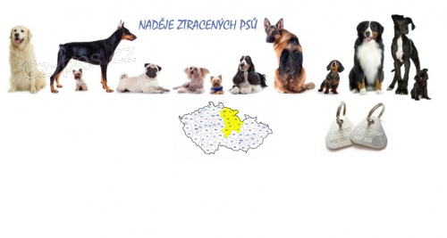 Nadějě ztracených psů - východní Čechy Nadějě ztracených psů - východní Čechy