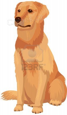 LABRADOŘI, RETRÍVŘI LABRADOŘI, RETRÍVŘI
