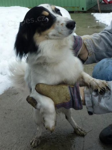 Bohumín (okr.Karviná) Bohumín (okr.Karviná)