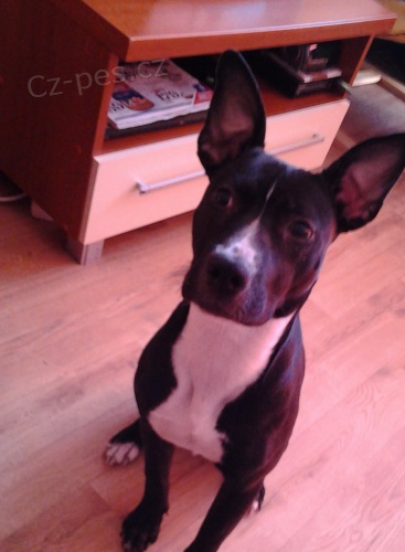 ztratila se n�m DORIEN