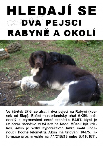 Hledají se dva pejsci - rabyně a okolí Hledají se dva pejsci - rabyně a okolí