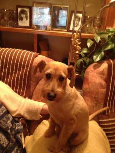 POMOZTE BEN��KOVI