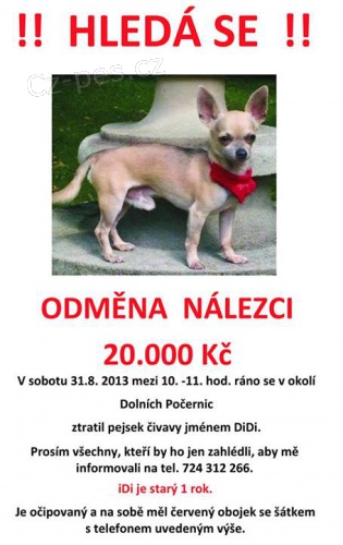 ZTR�TA �IVAVA PES PRAHA D.PO�ERNICE