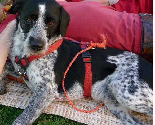 Ztratil se �ernob�l� o��ek 