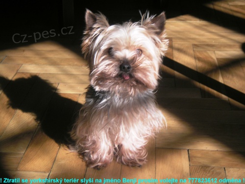 Ztratil se jork��r !