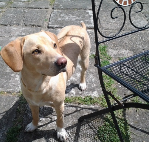 Ad�lka - Lys� nad Labem