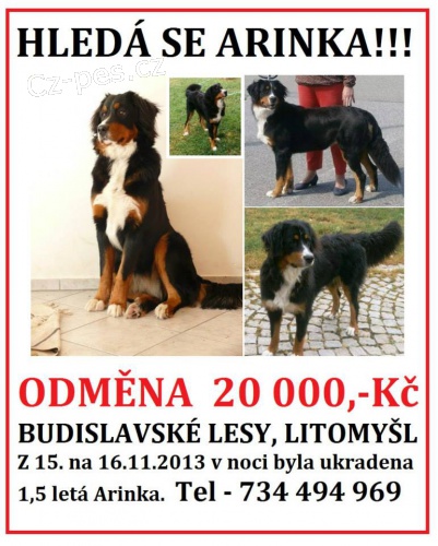 Ztracen� ber�a�ka Arinka - odm�na 20 000 K�!