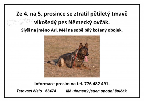 ZTRATIL SE N�meck� ov��k