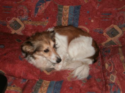 Pod�kov�n�....