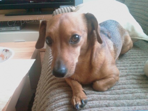 Pomozte naj�t Mat�je