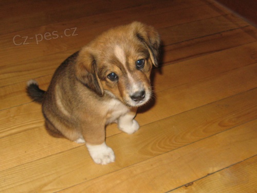 Ztracen� 2 m�s��n� �t�n�, Fren�t�t p. R.