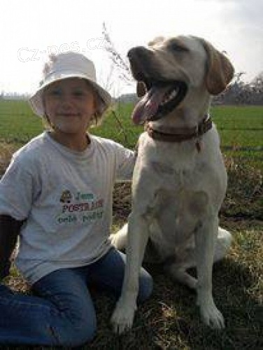 Prosba o vraceni na�� Denisky