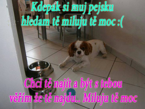 Ztratil se Kaval�r