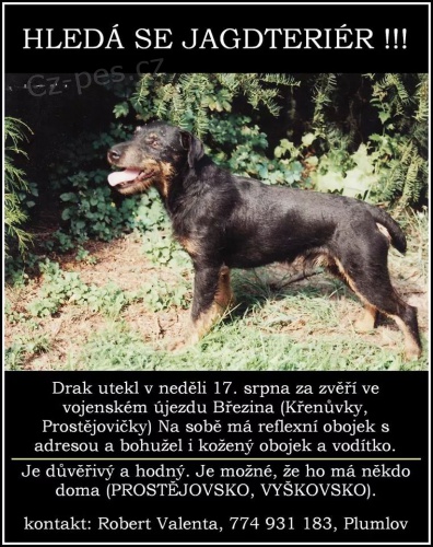 Ztrcen� loveck� pes