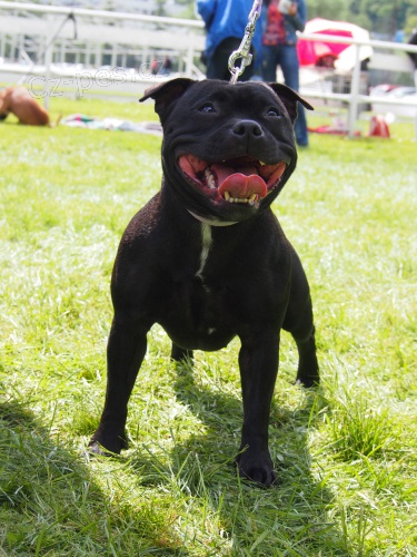 Hled� se Ad�lka!!!