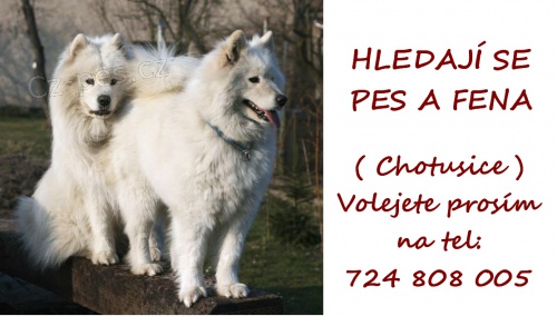 Hled�me na�e dva samojedy