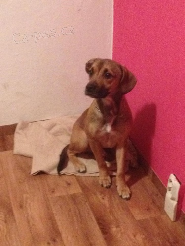 darujeme �t�n� do dobr�h rukou 