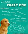 Ps� hotel Crazy dog