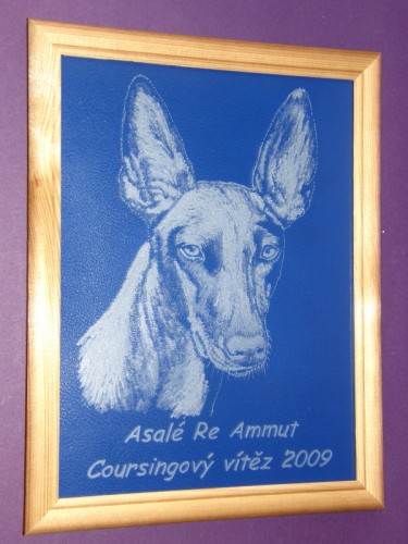 V�� �AMPION - NA�E INSPIRACE