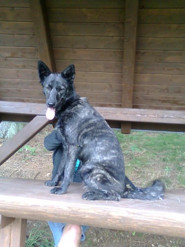 Prosím o pomoc Prosím o pomoc