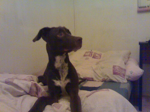 V chatov� oblasti v Pop�vk�ch u Brna se ztratil