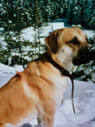 ztr�ta Franti�ka