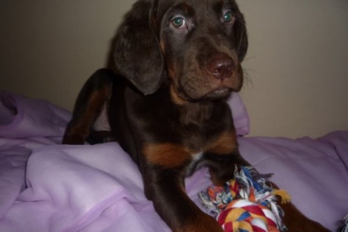 Pomoze naj�t Adama