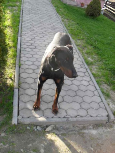 Kdo hledá tohoto přítele Kdo hledá tohoto přítele