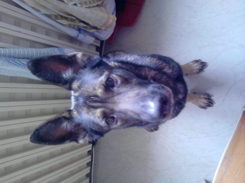 Kate�ina-n�m.ov��k