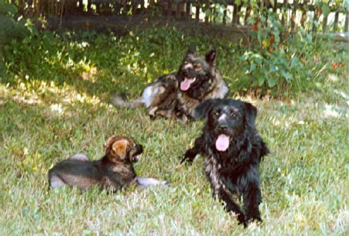 ztratili se - Rita a Bak (bez �t�n�te)