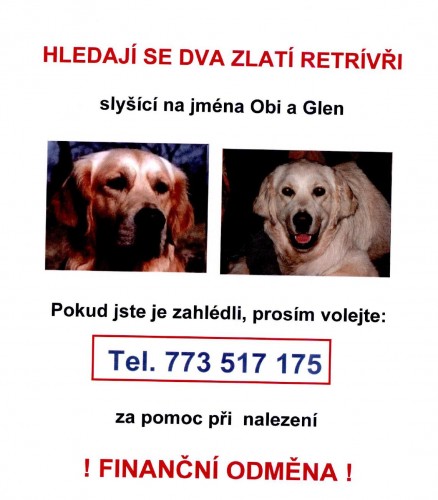 Ztratili se 2 zlatí retvívři Ztratili se 2 zlatí retvívři
