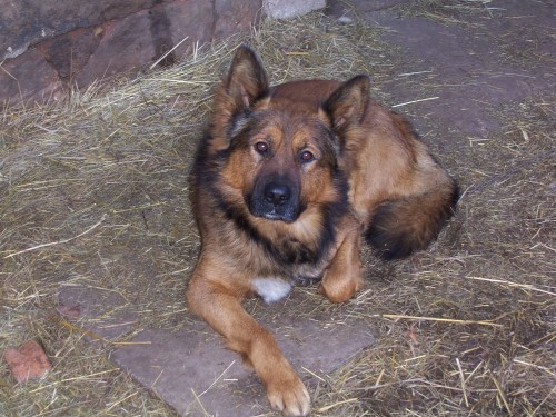 Oprava Pros�m pomoc