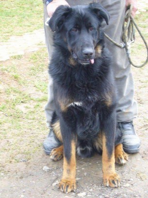 St�le hled�me - ODM�NA