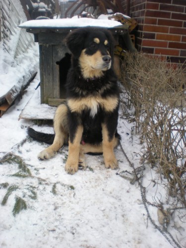 Ztracen� �t�n�-Kozlovice