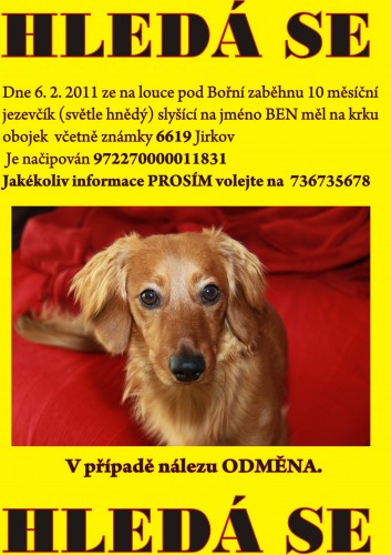 Hled� se jezev��k