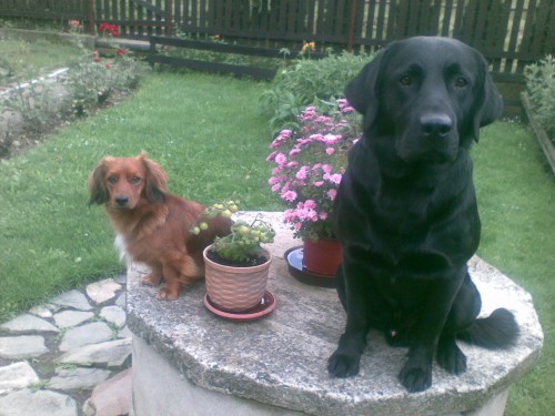 rybn�k SMIKOV BENE�OV-VLA�IM