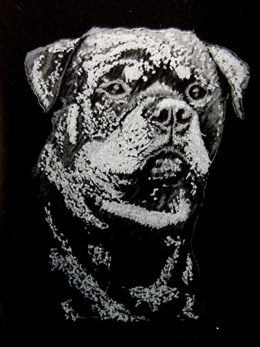 V� mil��ek na skle