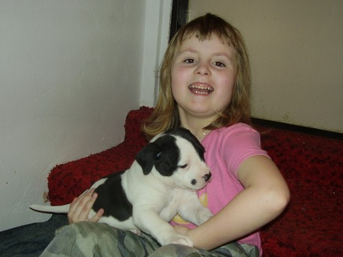 Americk� buldok �t��ata-standart