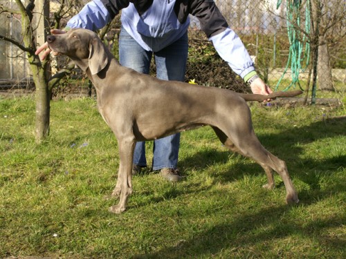 zad�m �t��ata VOK s PP