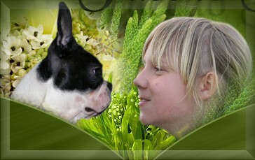 St��ata BOSTON TERI�RA- Polsko, Krakow