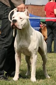 Argentinsk� doga - rezervace �t���tek