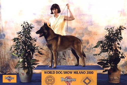 V�cvik, vystavov�n�  ps�